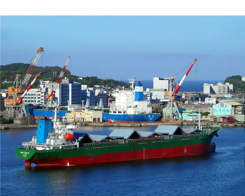 ORANGE LINK Bulk Carrier IMO 8653073 photo 9