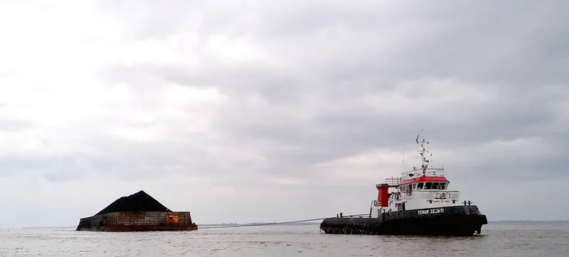 TEMAN SEJATI General Cargo IMO 8654716