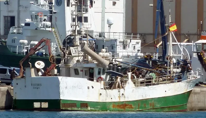 MARIE General Cargo IMO 8656984 photo 9