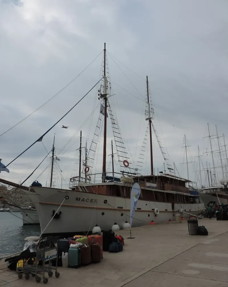MACEK Passenger Ship IMO 8657299 photo 4