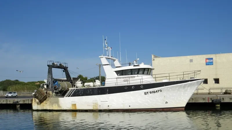 RAYMOND ELISE IV General Cargo IMO 8657988
