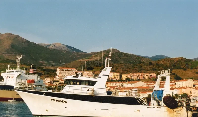 RAYMOND ELISE IV General Cargo IMO 8657988 photo 2