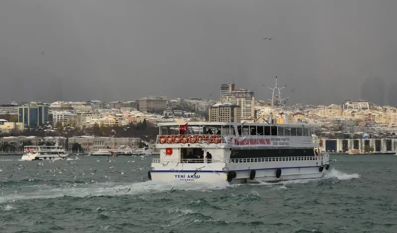YENI AKSU Passenger Ship IMO 8658152 photo 4