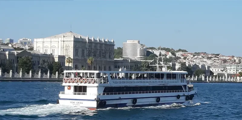 YENI AKSU Passenger Ship IMO 8658152 photo 8