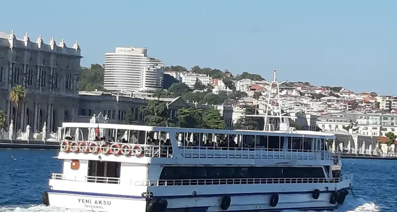 YENI AKSU Passenger Ship IMO 8658152 photo 9