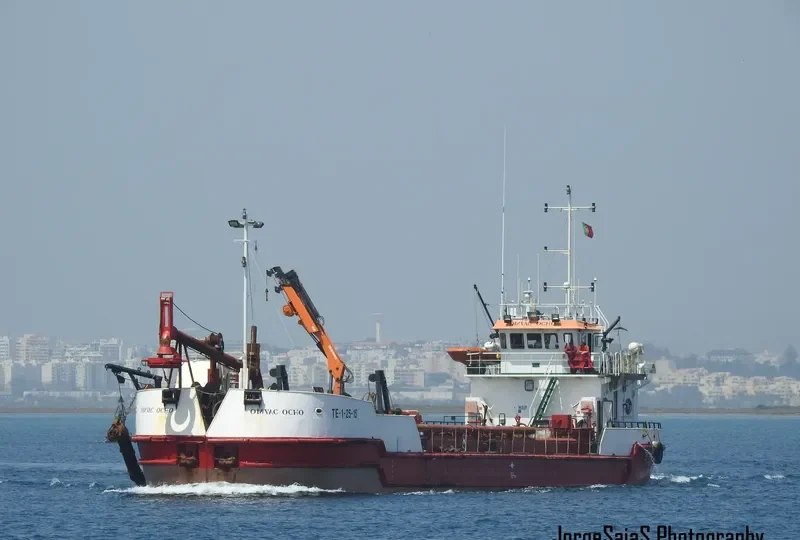 OMVAC OCHO General Cargo IMO 8658475 photo 8