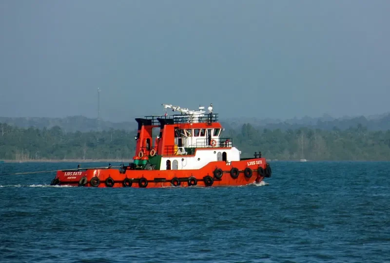 LIUS SATU General Cargo IMO 8659869