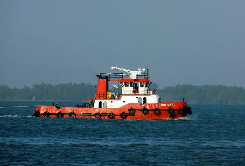 LIUS SATU General Cargo IMO 8659869 photo 2