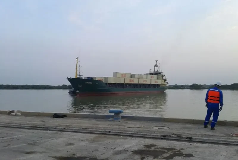 HAMTA General Cargo IMO 8660923