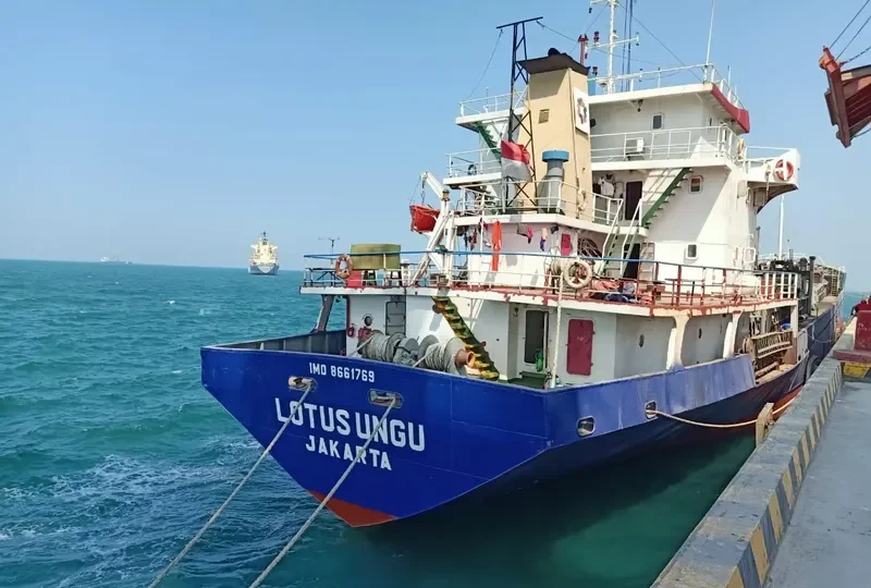 LOTUS UNGU General Cargo IMO 8661769 photo 2