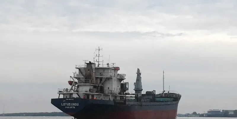 LOTUS UNGU General Cargo IMO 8661769 photo 7