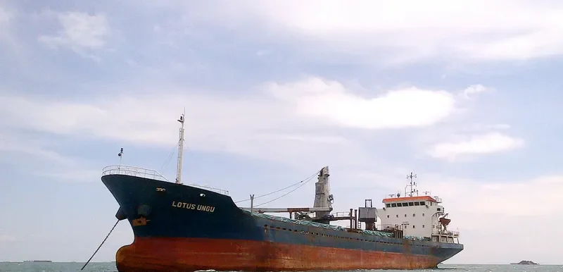 LOTUS UNGU General Cargo IMO 8661769 photo 8