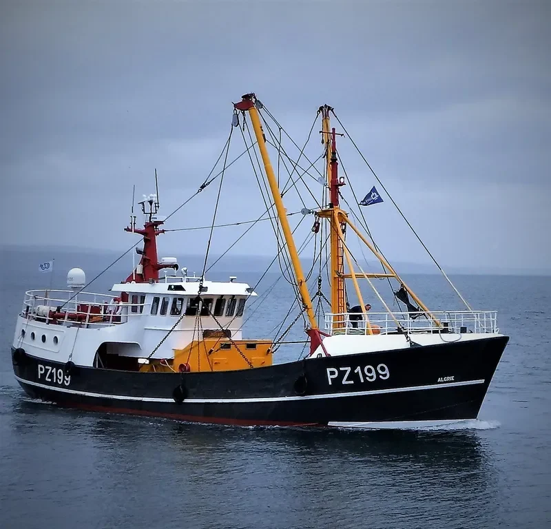 ALGRIE General Cargo IMO 8662153