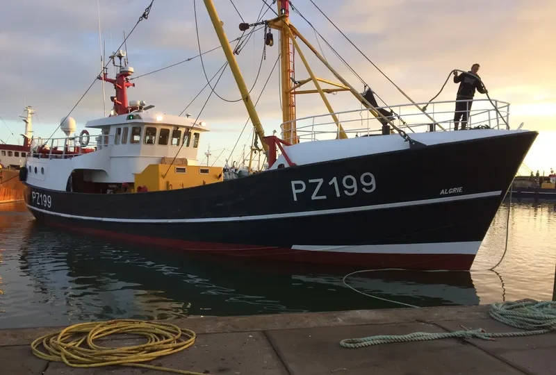 ALGRIE General Cargo IMO 8662153 photo 2