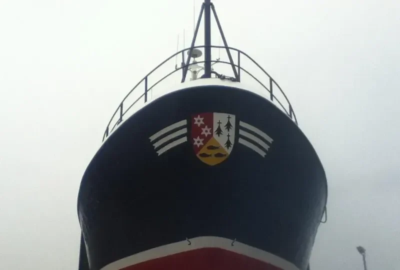 JOY OF LADRAM General Cargo IMO 8663420 photo 4