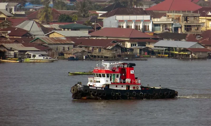 BERAU COAL 9 General Cargo IMO 8666733