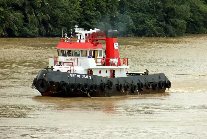 BERAU COAL 9 General Cargo IMO 8666733 photo 2