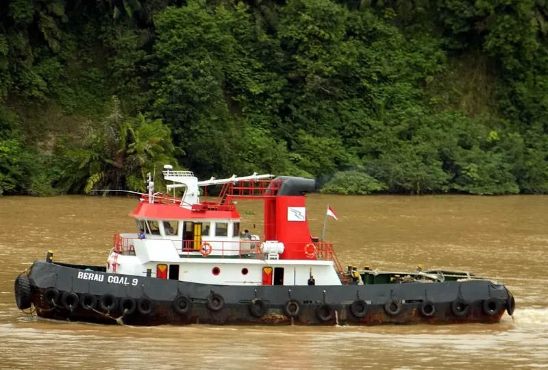 BERAU COAL 9 General Cargo IMO 8666733 photo 3