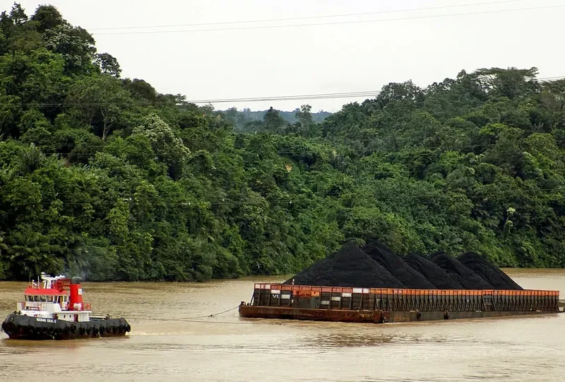 BERAU COAL 9 General Cargo IMO 8666733 photo 4