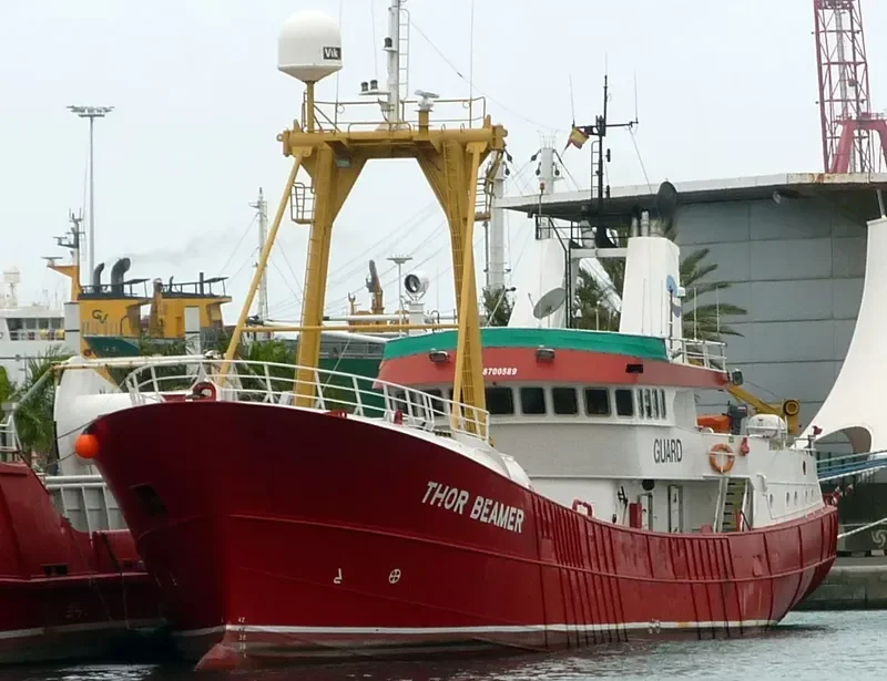 THOR BEAMER General Cargo IMO 8700589 photo 6