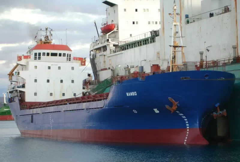 PRINCESS WILNA General Cargo IMO 8700826