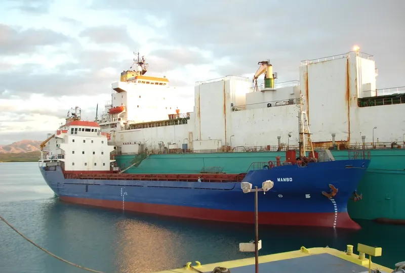 PRINCESS WILNA General Cargo IMO 8700826 photo 2