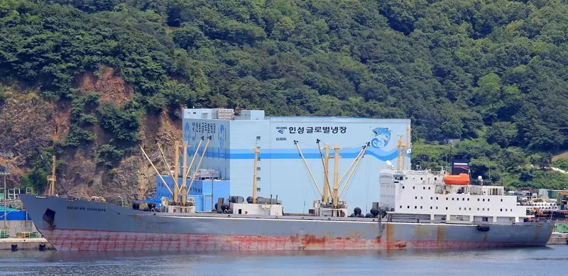 VASILIY POLESHCHUK General Cargo IMO 8701038