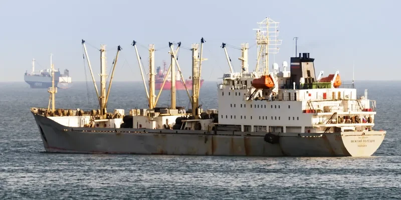 VASILIY POLESHCHUK General Cargo IMO 8701038 photo 3