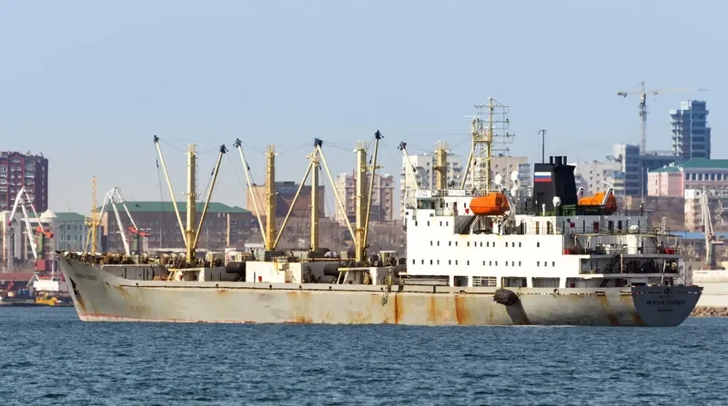 VASILIY POLESHCHUK General Cargo IMO 8701038 photo 4