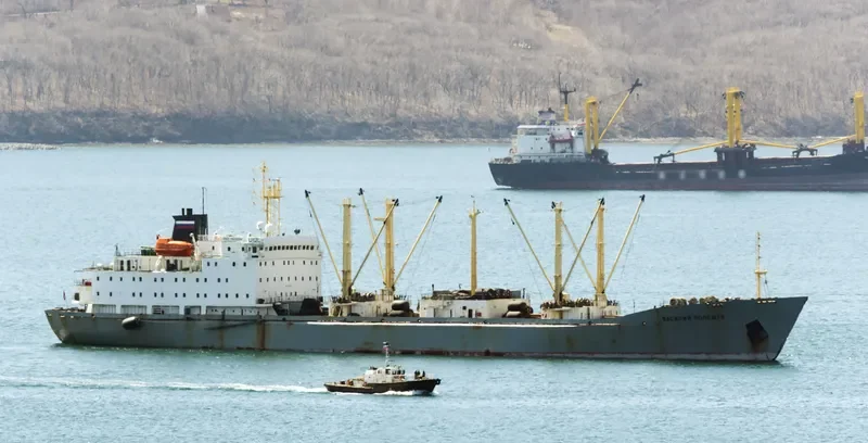 VASILIY POLESHCHUK General Cargo IMO 8701038 photo 5