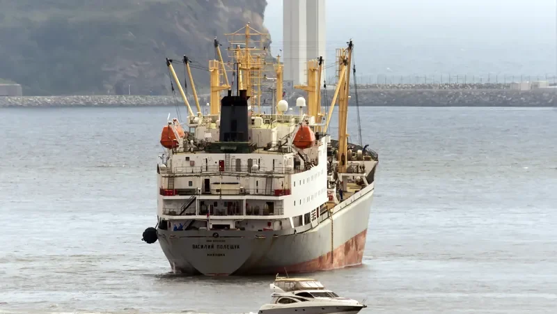 VASILIY POLESHCHUK General Cargo IMO 8701038 photo 6