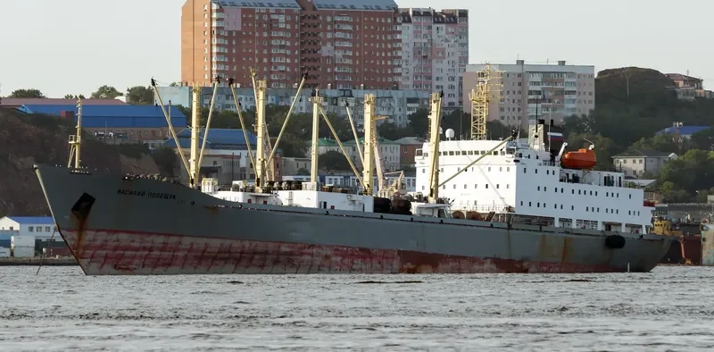 VASILIY POLESHCHUK General Cargo IMO 8701038 photo 7