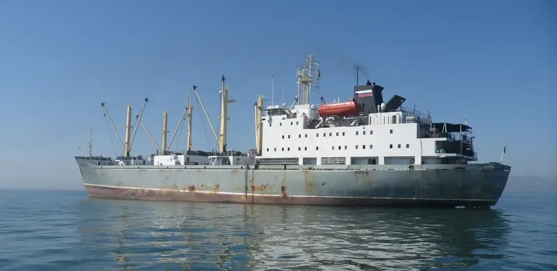 VASILIY POLESHCHUK General Cargo IMO 8701038 photo 9