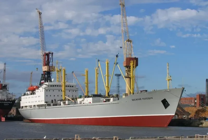 VASILIY POLESHCHUK General Cargo IMO 8701038 photo 10