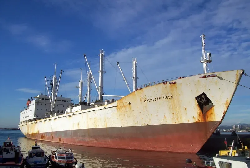 BALTIJAS CELS General Cargo IMO 8701052