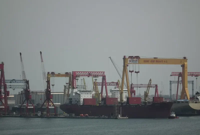 CARINA K Bulk Carrier IMO 8701533