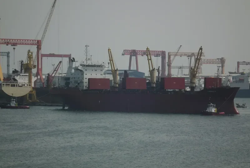 CARINA K Bulk Carrier IMO 8701533 photo 2