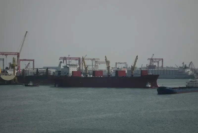 CARINA K Bulk Carrier IMO 8701533 photo 3
