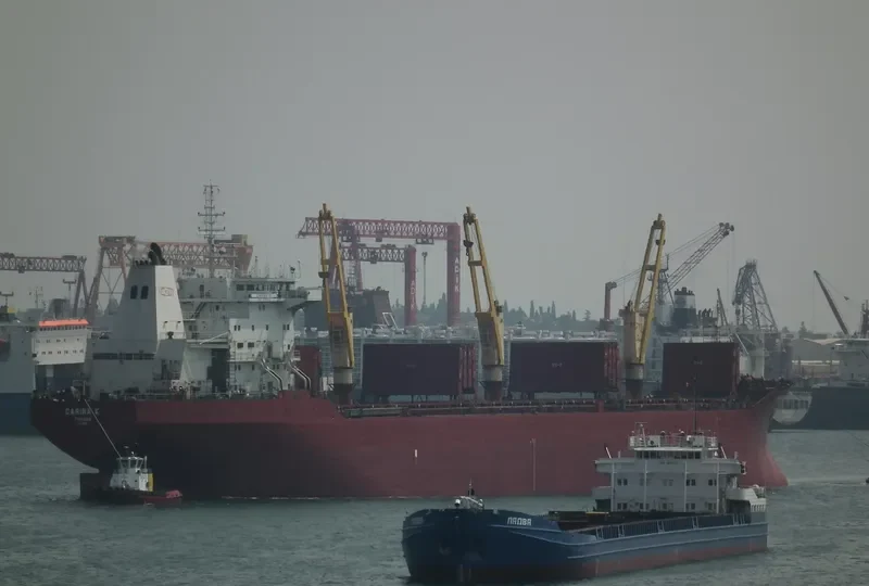 CARINA K Bulk Carrier IMO 8701533 photo 4