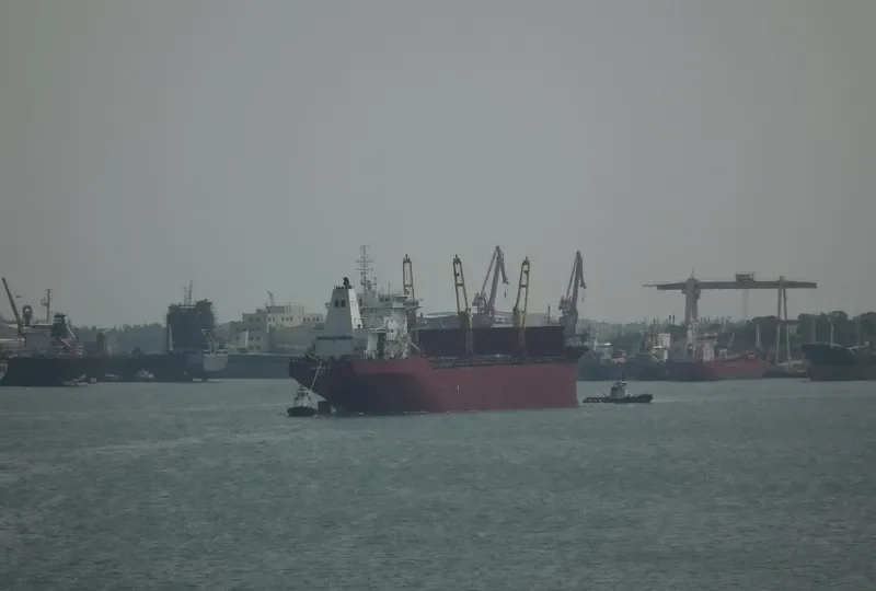 CARINA K Bulk Carrier IMO 8701533 photo 5