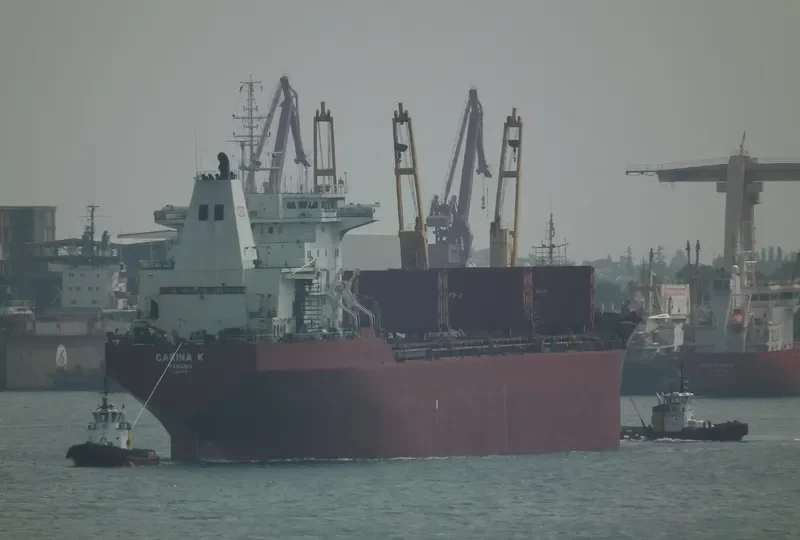 CARINA K Bulk Carrier IMO 8701533 photo 6