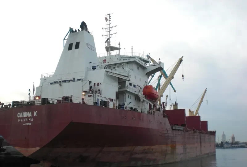 CARINA K Bulk Carrier IMO 8701533 photo 7