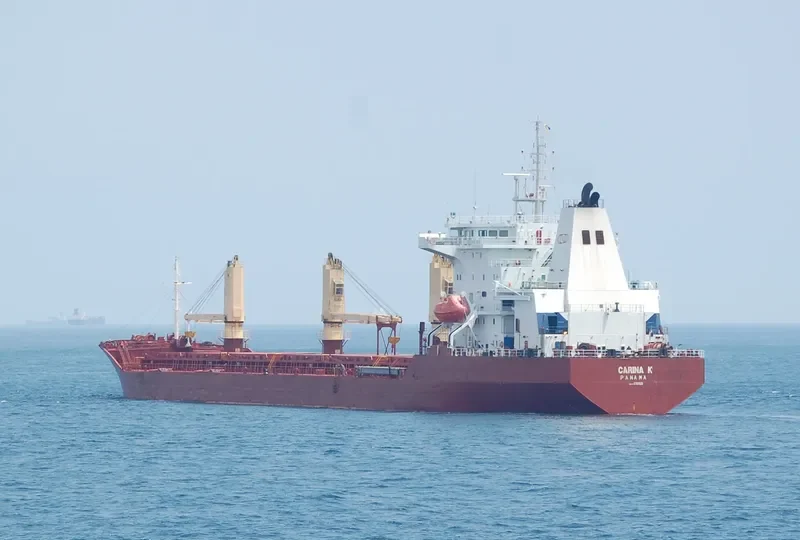 CARINA K Bulk Carrier IMO 8701533 photo 8
