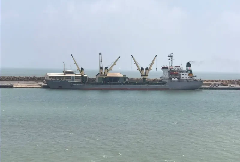 DIAMOND SUN Bulk Carrier IMO 8701923 photo 2