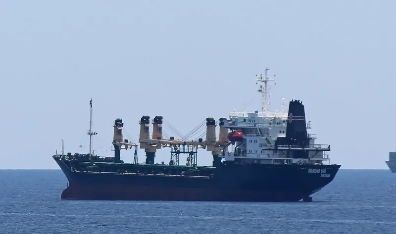 DIAMOND SUN Bulk Carrier IMO 8701923 photo 4