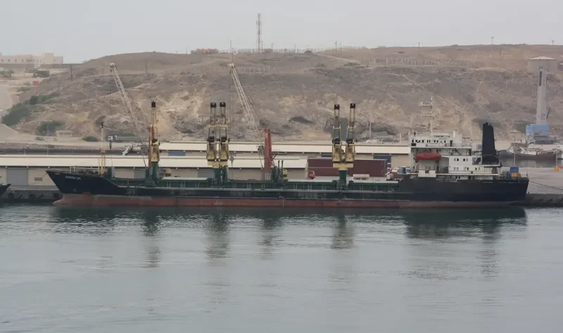 DIAMOND SUN Bulk Carrier IMO 8701923 photo 5