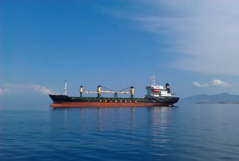 DIAMOND SUN Bulk Carrier IMO 8701923 photo 6