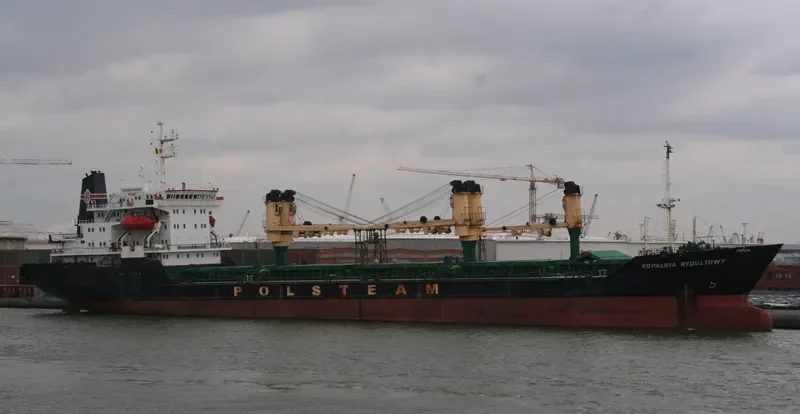 DIAMOND SUN Bulk Carrier IMO 8701923 photo 7