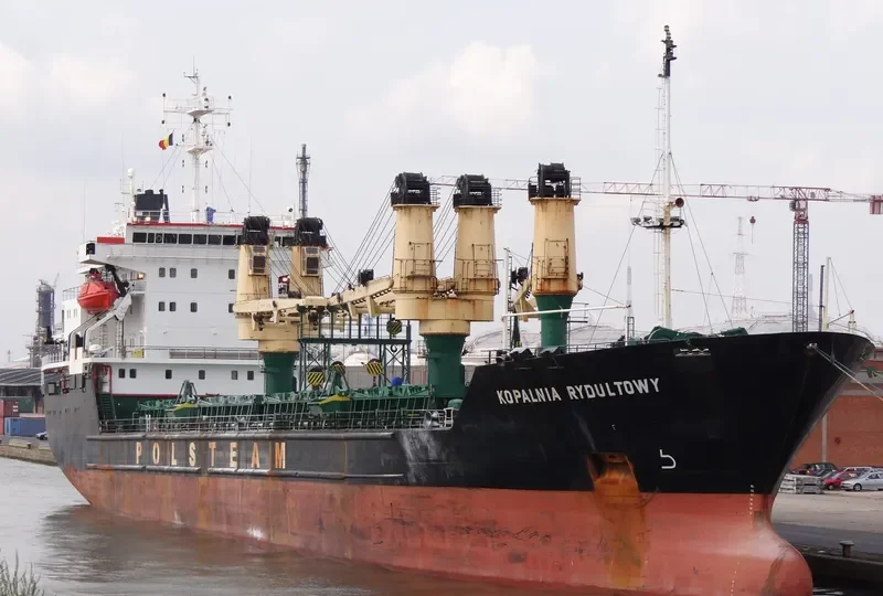 DIAMOND SUN Bulk Carrier IMO 8701923 photo 8
