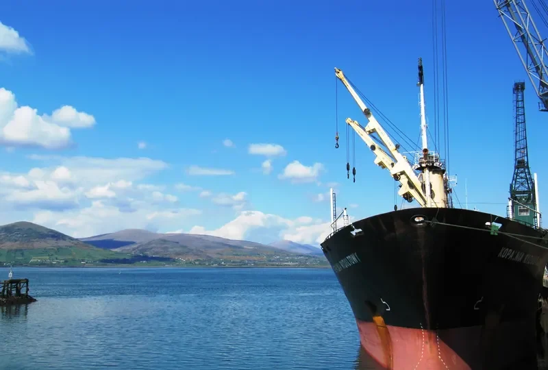 DIAMOND SUN Bulk Carrier IMO 8701923 photo 9